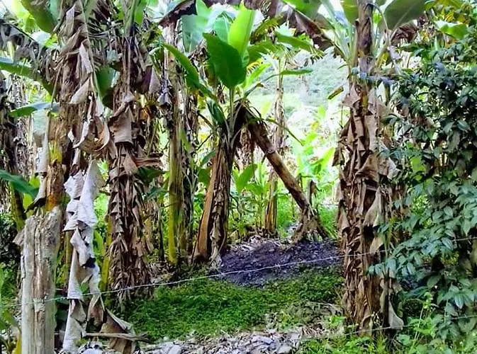 Huyro Ecolux The Green Garden * Huayopata